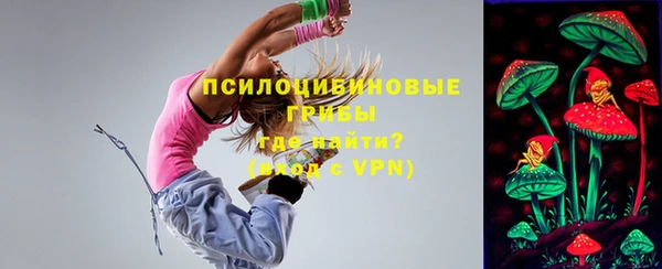 mdpv Богородицк