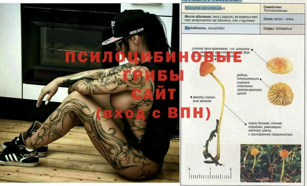 амф Богородск