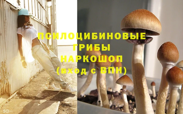 mdpv Богородицк