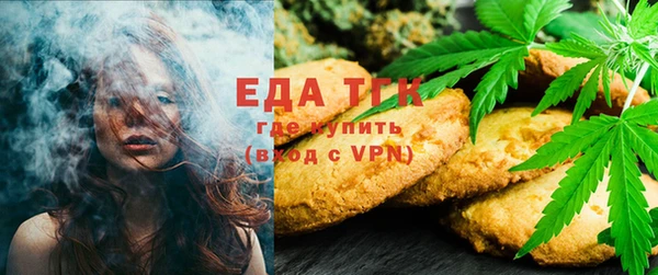 mdpv Богородицк